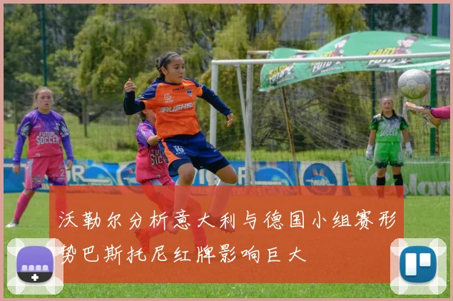 沃勒尔分析意大利与德国小组赛形势巴斯托尼红牌影响巨大