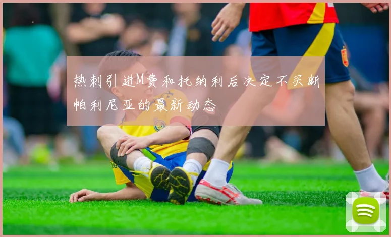 热刺引进M费和托纳利后决定不买断帕利尼亚的最新动态