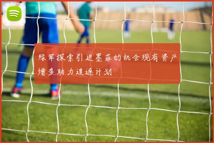 绿军探索引进墨菲的机会现有资产增多助力追逐计划